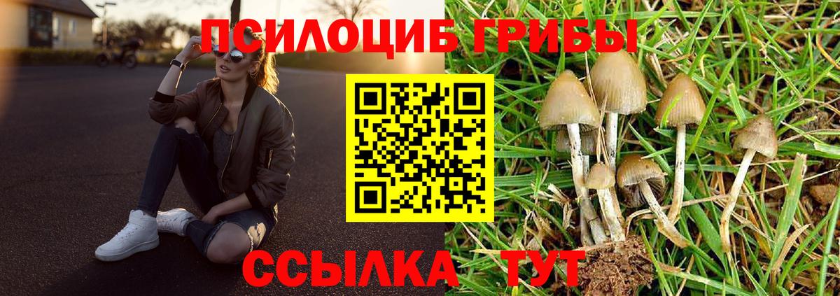 Псилоцибиновые грибы GOLDEN TEACHER Лангепас