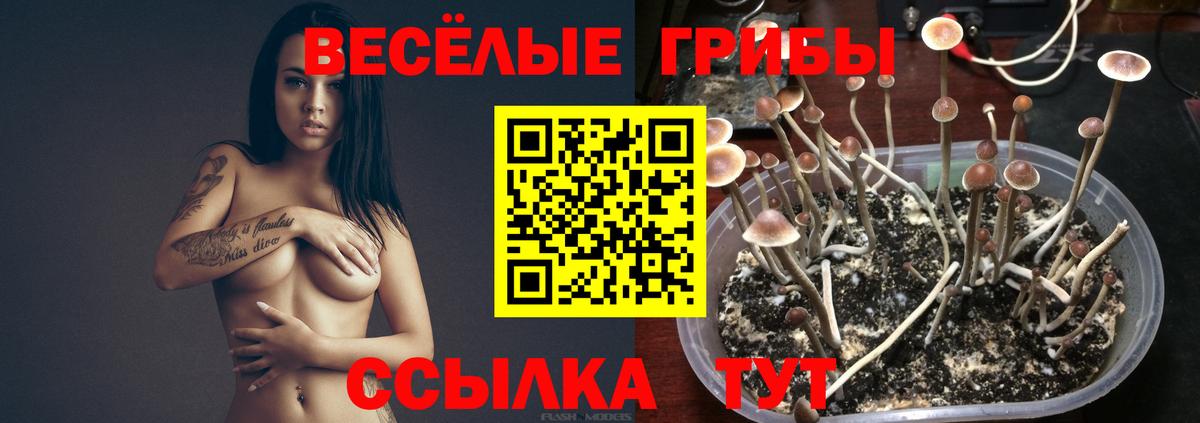 Псилоцибиновые грибы мицелий  Вход с VPN  Псилоцибиновые грибы GOLDEN TEACHER  даркнет сайт  Лангепас 